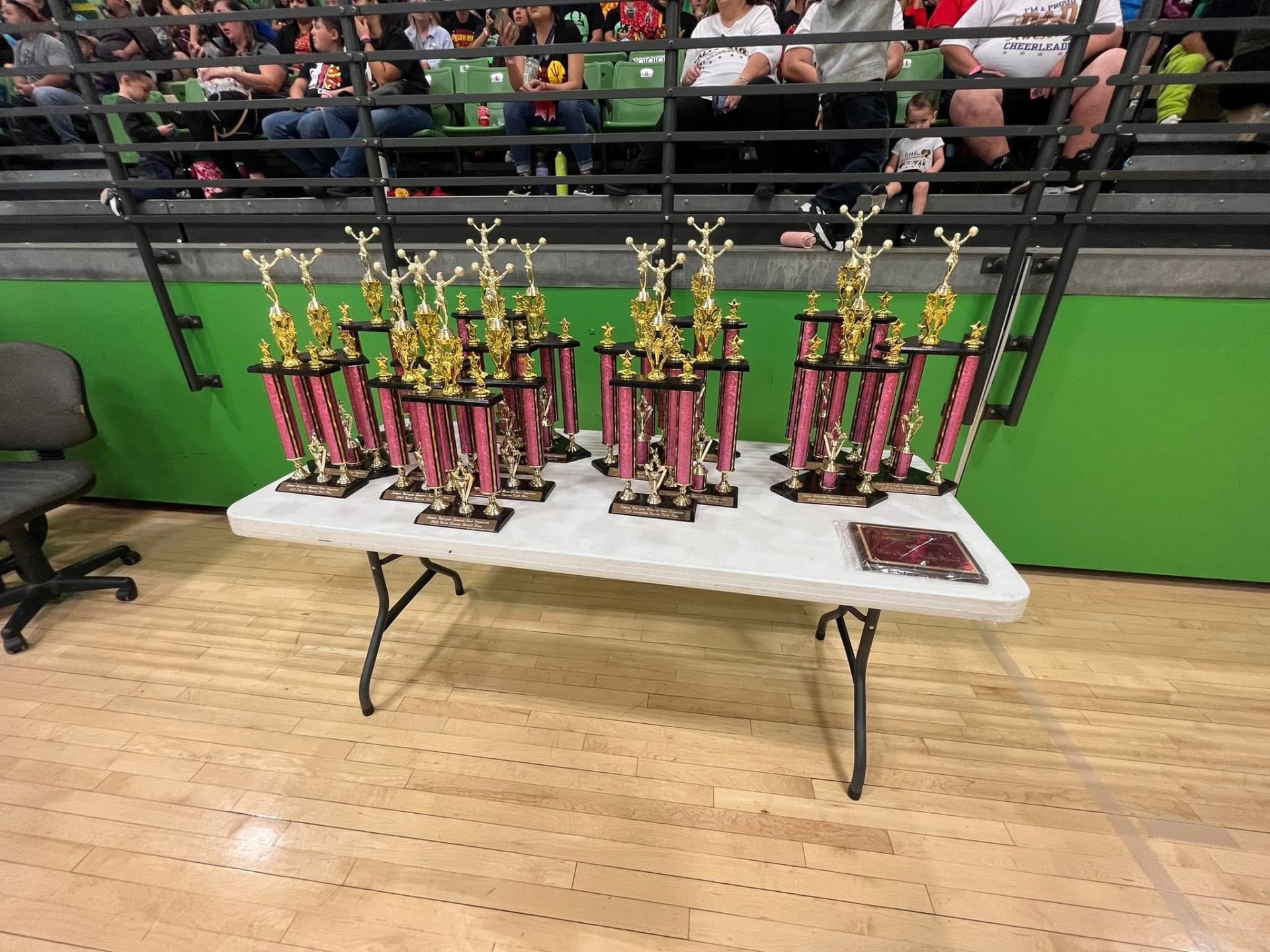 Championship trophies