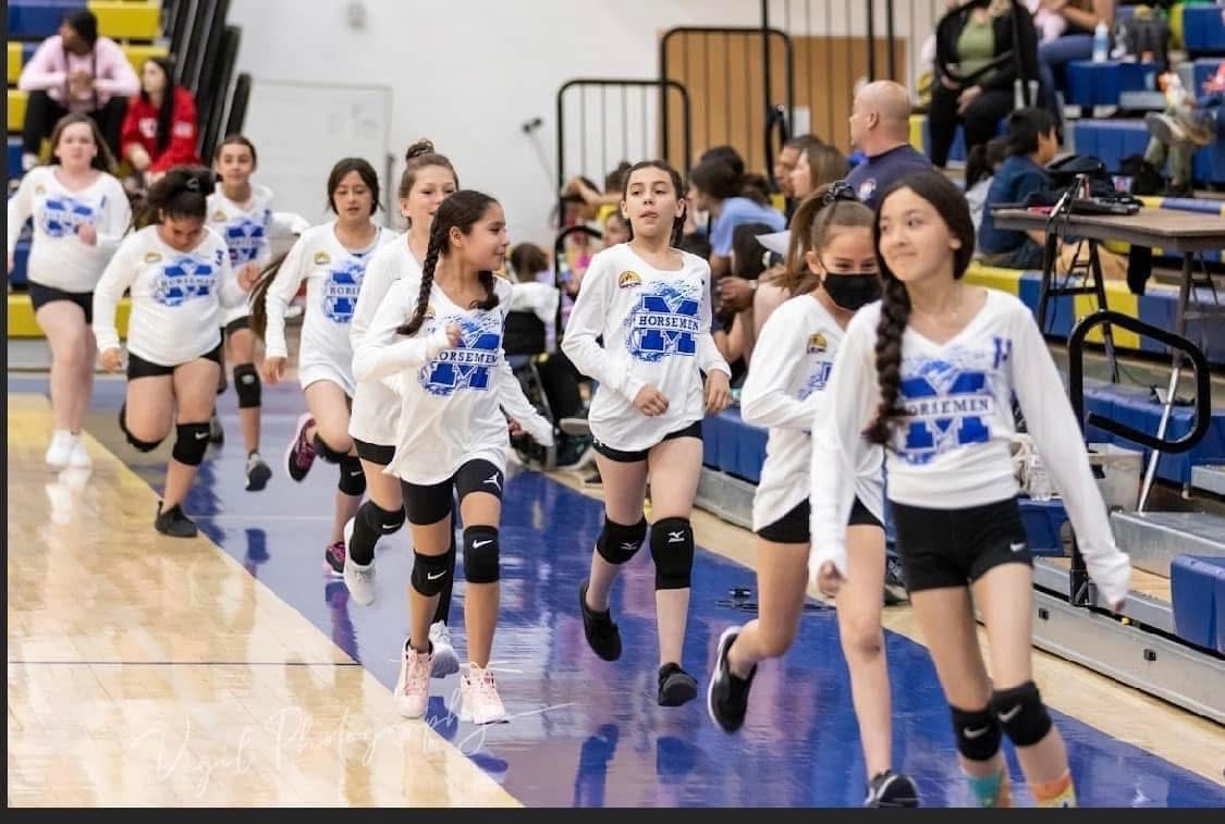 Volleyball